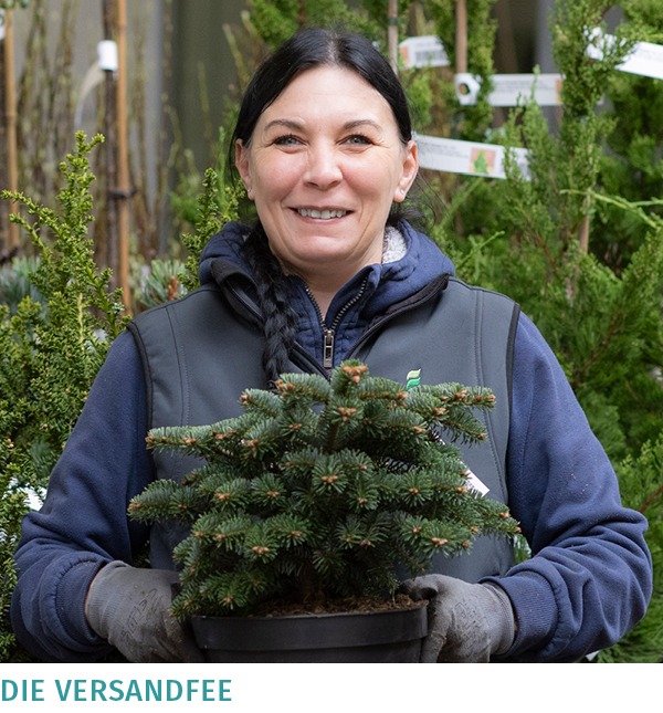 Dass unsere Pflanzen immer sauber, in einem neuen Topf und mit auffälligem Etikett an unsere Kunden verschickt werden, liegt unter anderem an Aneta, die in der Versandvorbereitung arbeitet.