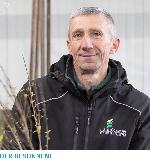 Bereits seit mehreren Jahren ist Krzysztof im Team. Er unterstützt uns zum Beispiel beim Topfen der nasto® Symphonie-Gehölze.