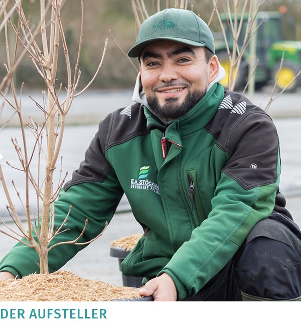 Said ist zuständig für das Aufstellen der Großcontainer, nachdem diese frisch um- bzw. eingetopft wurden. Auch er ist neu im Team.